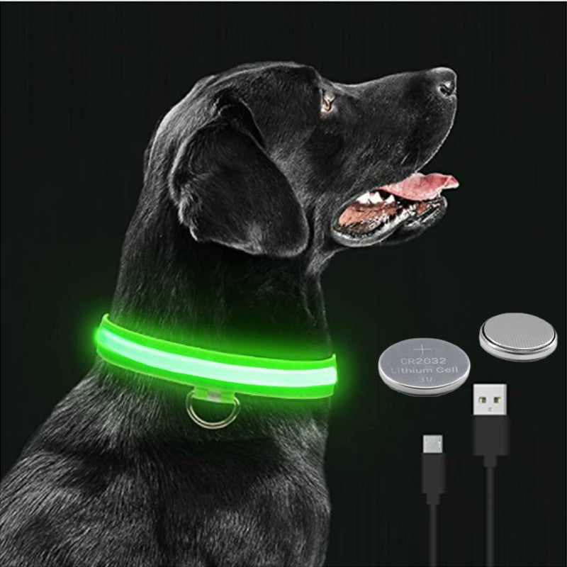 Luminous Dog Collar